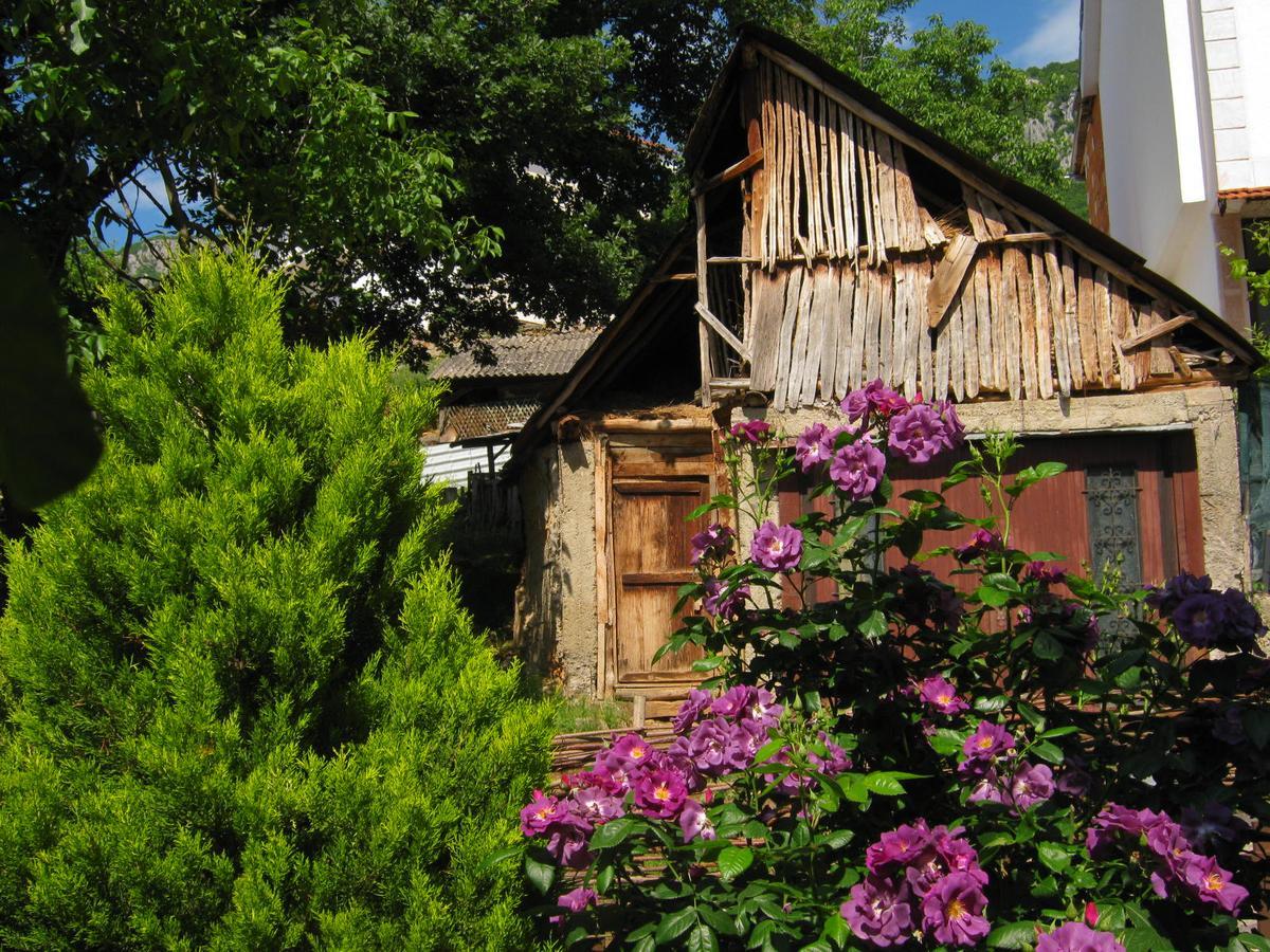 Risto'S Guest House Ohrid Exterior photo