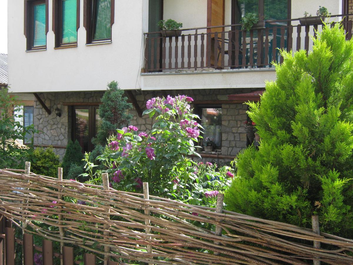 Risto'S Guest House Ohrid Exterior photo