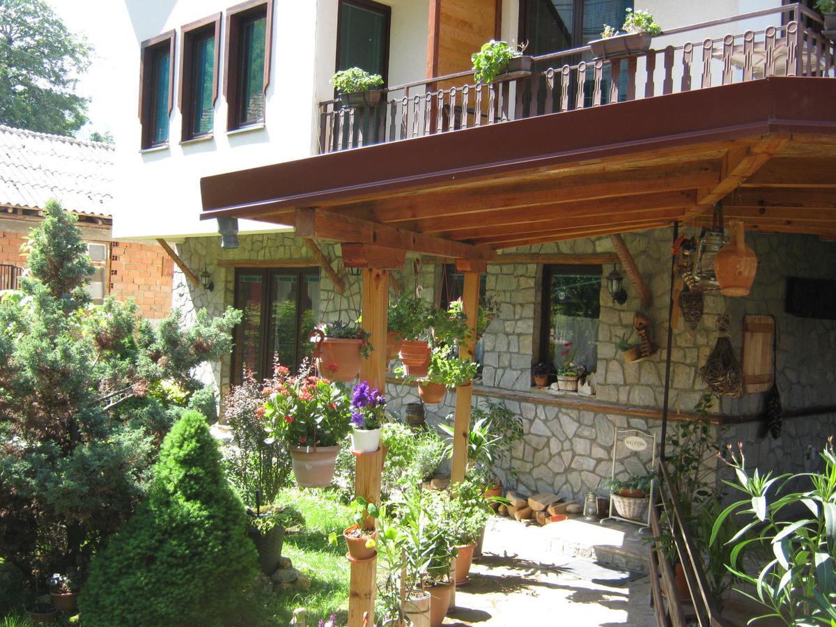 Risto'S Guest House Ohrid Exterior photo